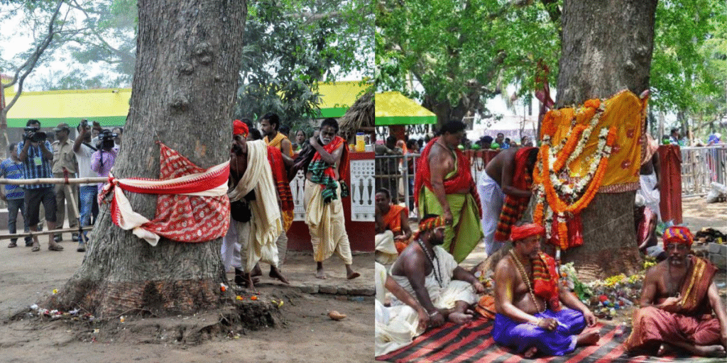 The Mirror Test of Maa Mangala